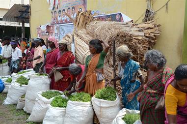 Flower-Market, Madurai,_DSC_8216_H600